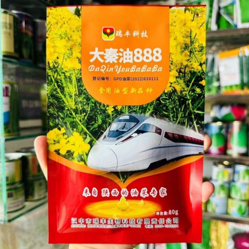 大秦油888杂交甘蓝型油菜种子高产抗病抗倒耐寒油菜籽