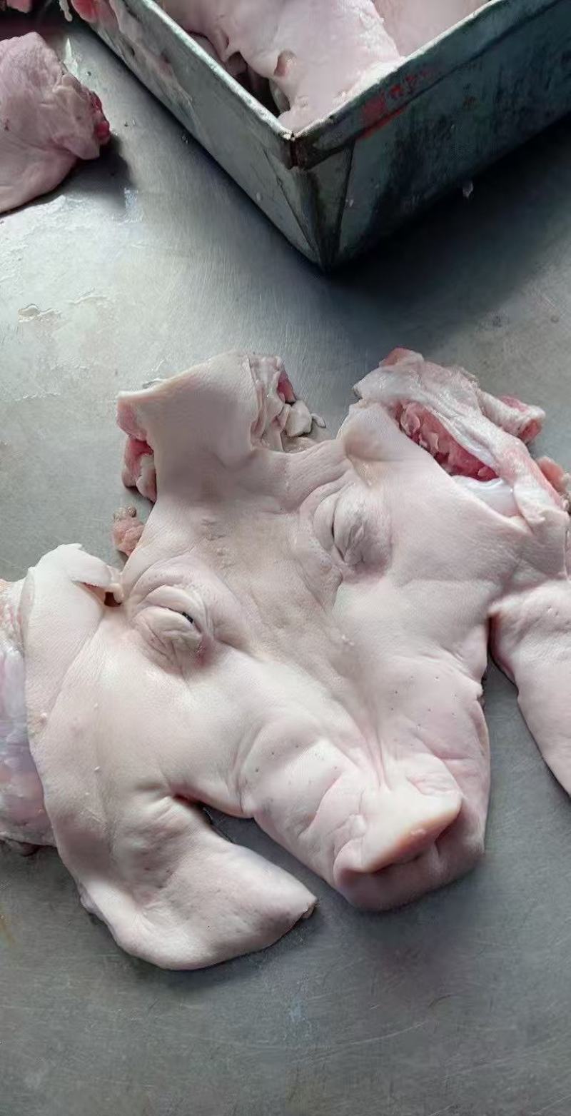 去耳生扒猪脸肉，有一车