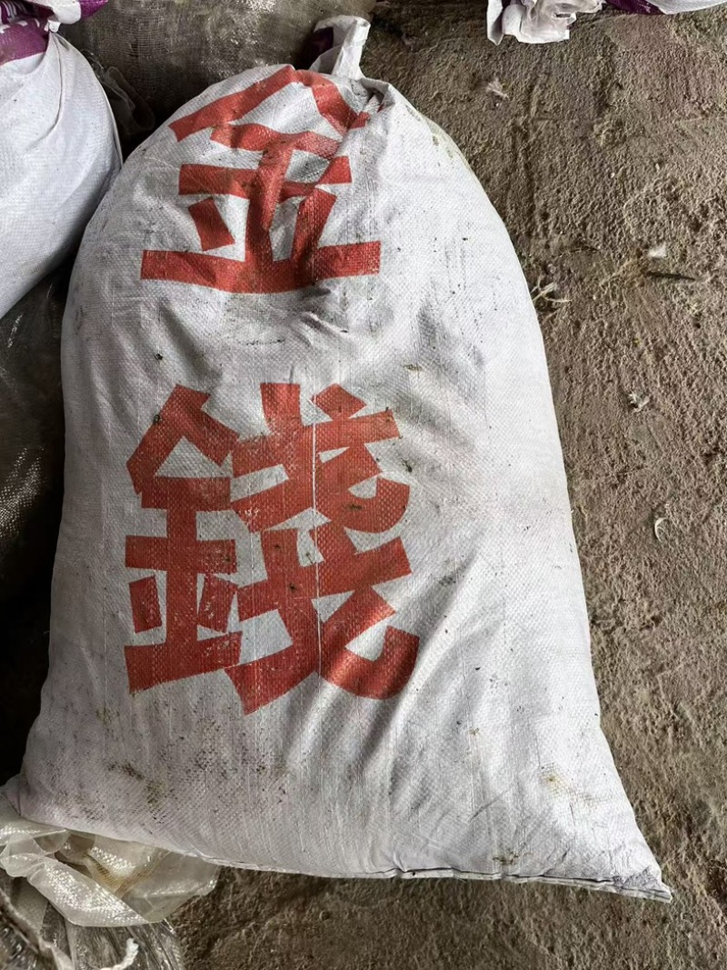 鸽子粪便纯料可种植和喂鱼用过都知道好