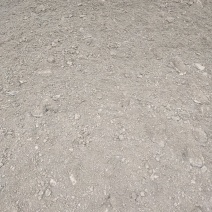 草木渣