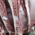 安徽猪肉白条，各种猪肉产品，