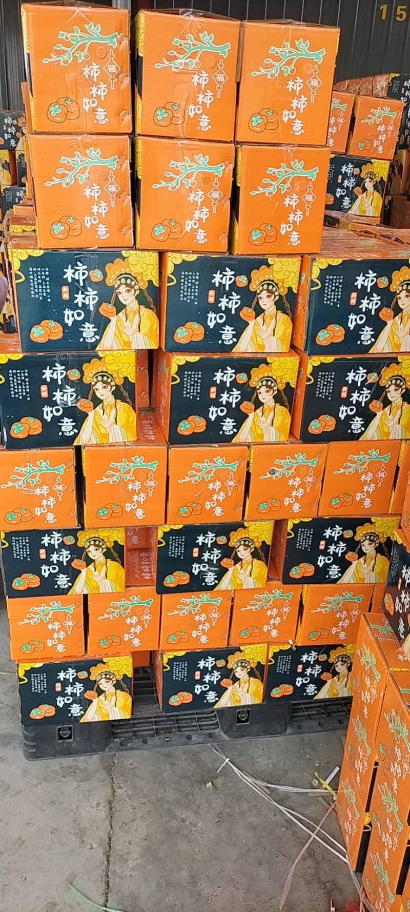 阳丰甜柿