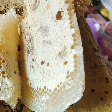 农村土蜂蜜