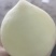 永连四号