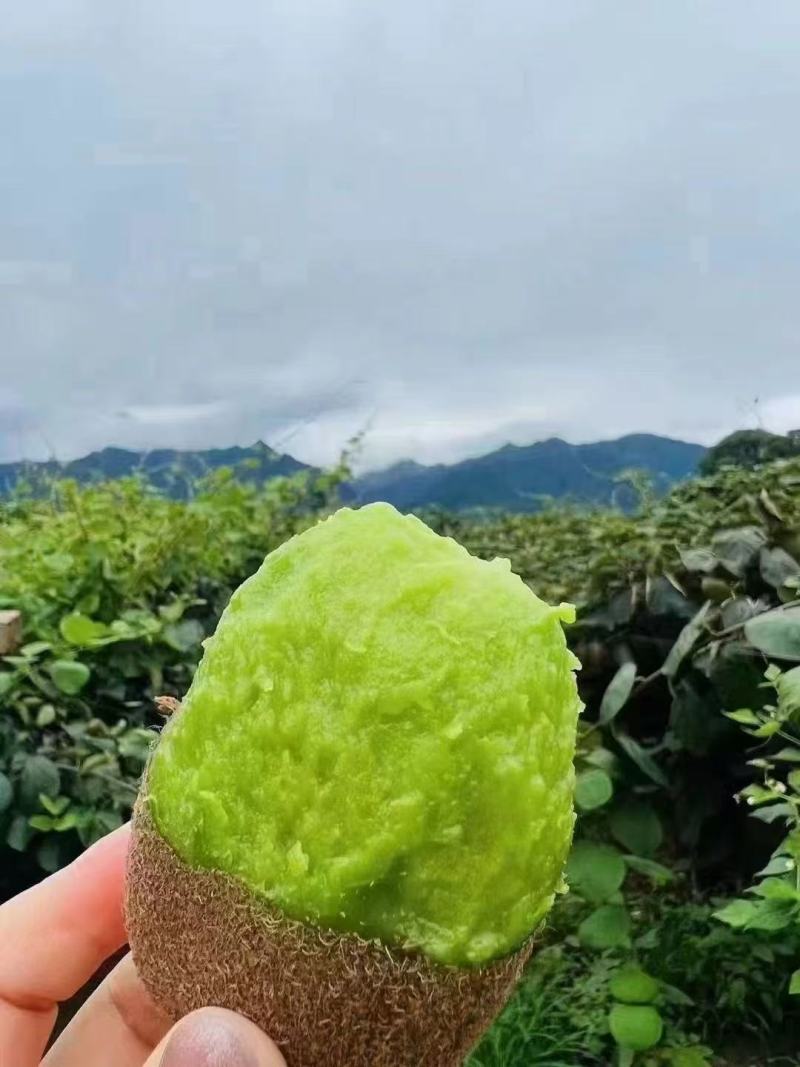 单果40-60克，5斤装