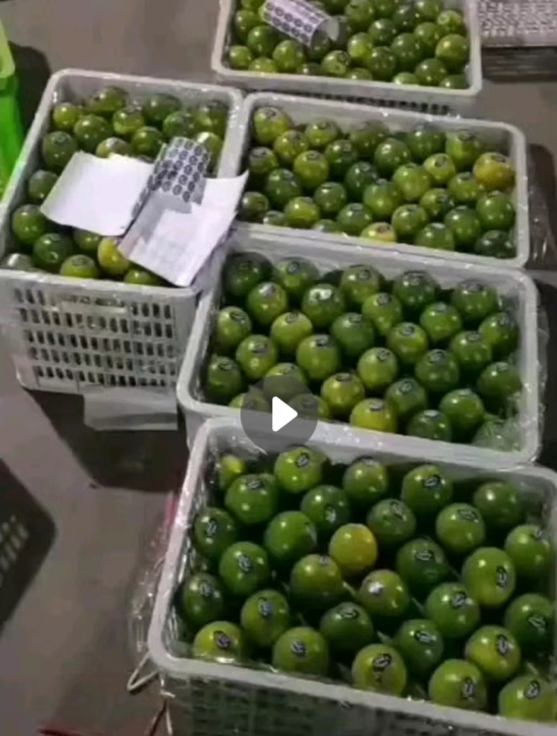 云南冰糖橙个大皮薄口感甜电商货市场货全国发货