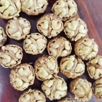 新鲜核桃大量上市，价格随行就市
