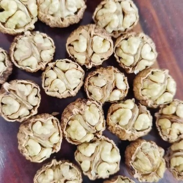 新鲜核桃大量上市，价格随行就市