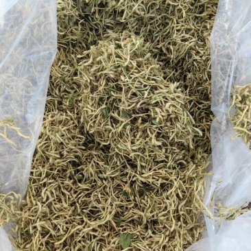 金银花（各种规格）