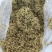 金银花（各种规格）