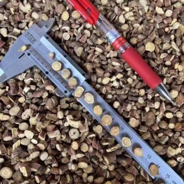 甘草颗粒小甘草圆片规格齐全0.5-1.8红皮甘草甜草根