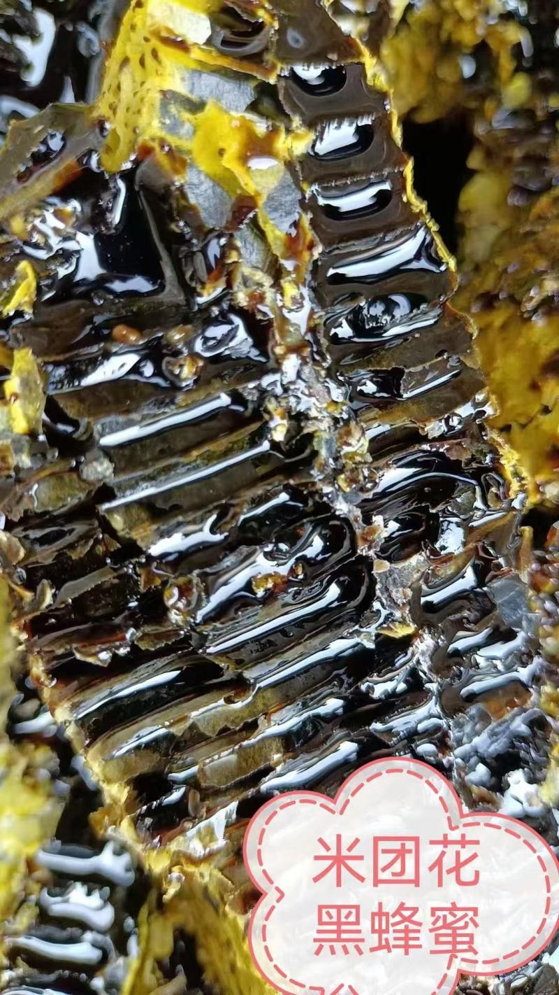 纯野生蜂蜜，保证纯野生品质，农户一手货源