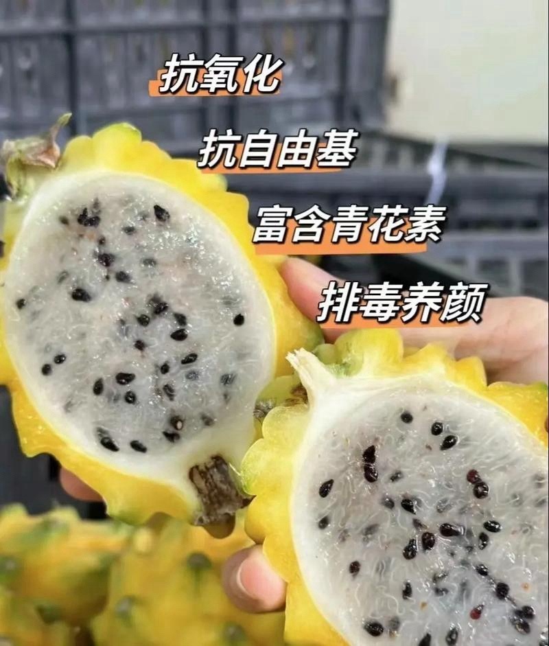 燕窝果预售，十月大量上市