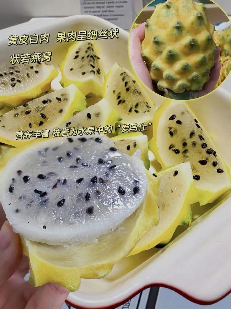燕窝果预售，十月大量上市