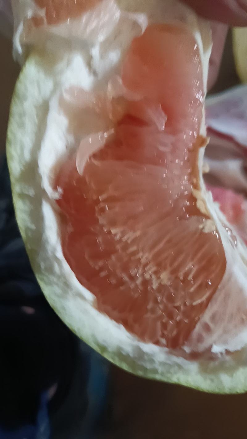 平和蜜柚