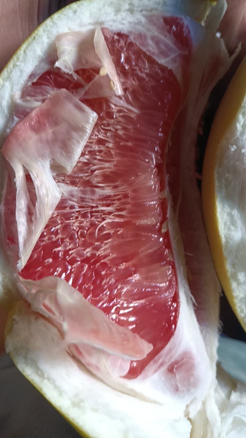 平和蜜柚