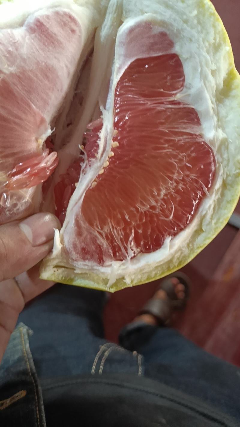 平和蜜柚