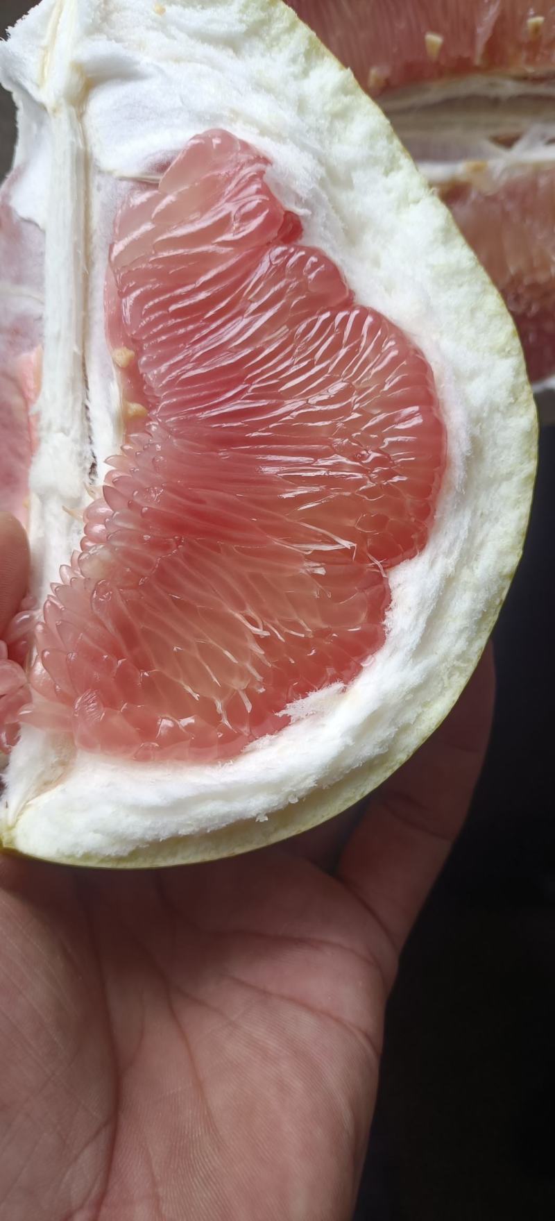 平和蜜柚