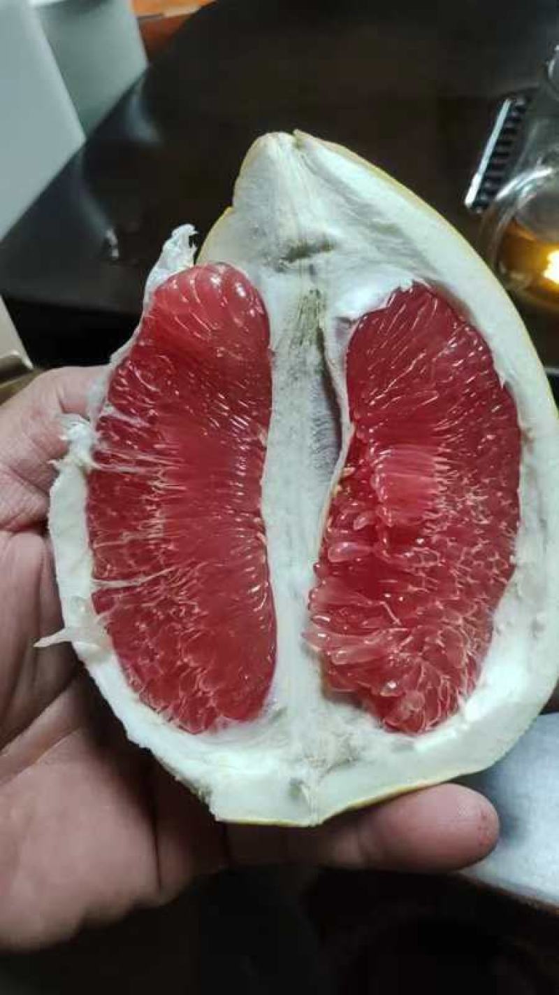 平和琯溪蜜柚