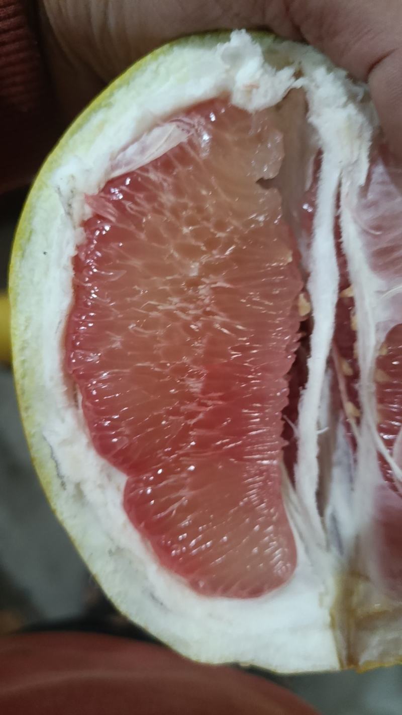 平和琯溪蜜柚