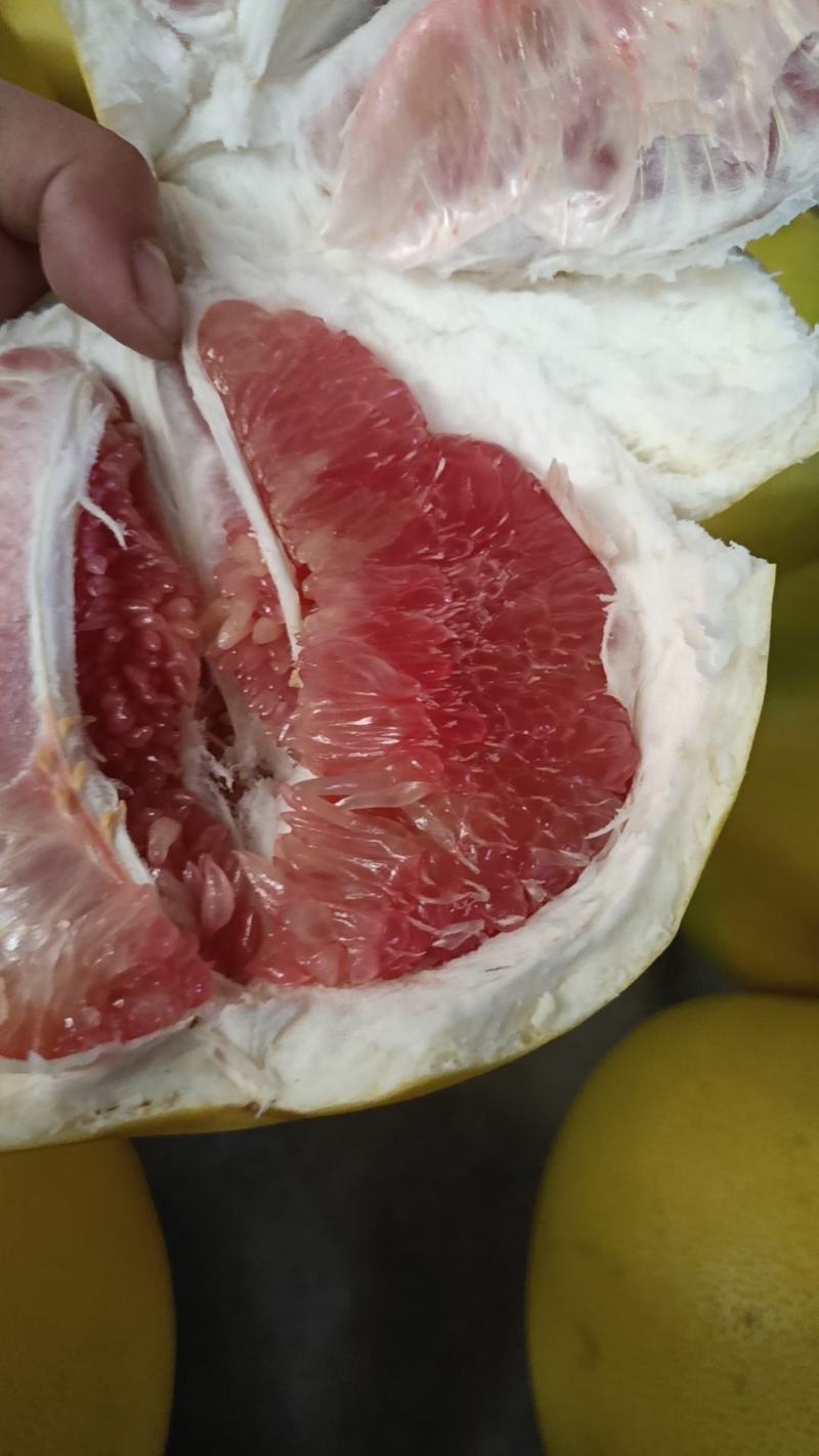 平和琯溪蜜柚