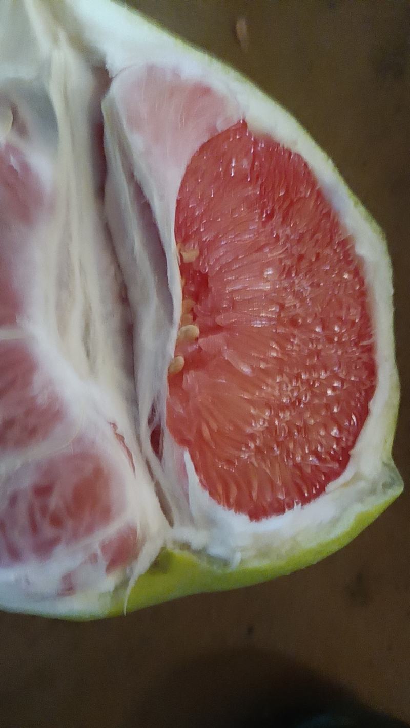 平和琯溪蜜柚