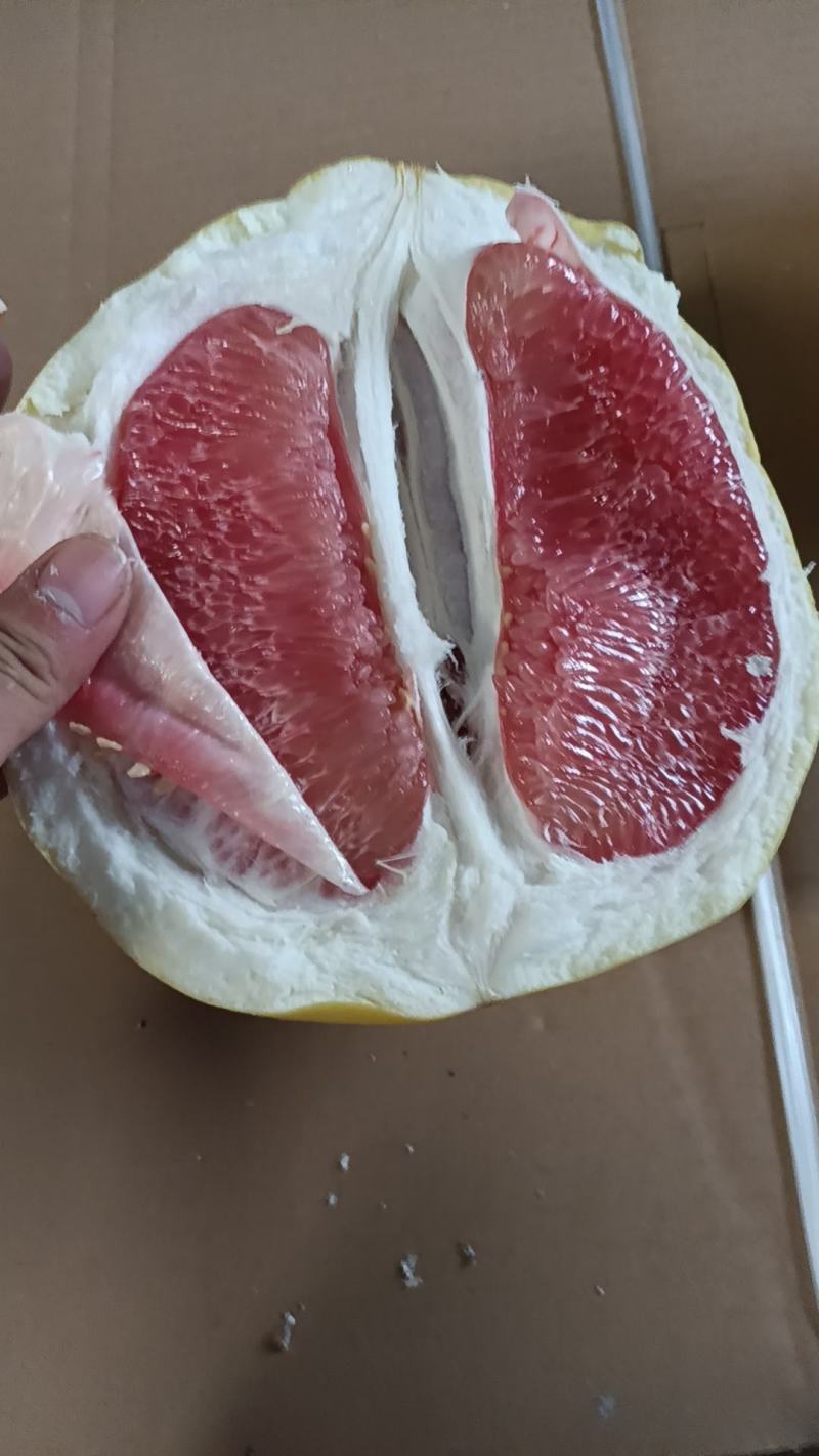 平和琯溪蜜柚
