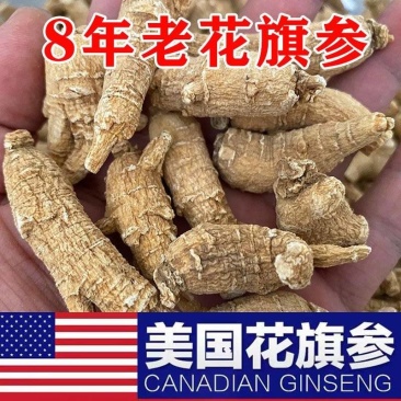 包邮）正宗美国进口西洋参花旗参原丛整枝参条加拿大西洋参