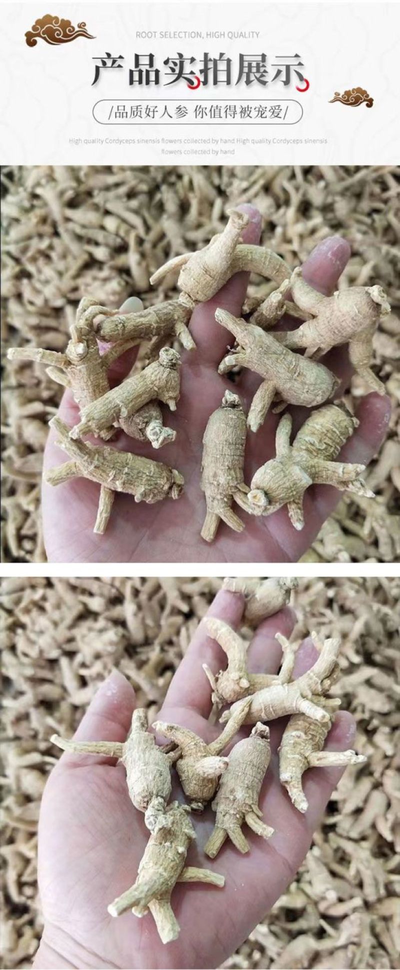 包邮）正宗美国进口西洋参花旗参原丛整枝参条加拿大西洋参