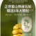 【包邮】正宗霍山产铁皮石斛枫斗官方正宗铁皮石斛颗粒