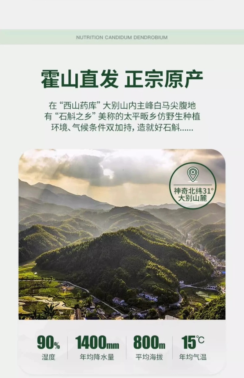 【包邮】正宗霍山产铁皮石斛枫斗官方正宗铁皮石斛颗粒