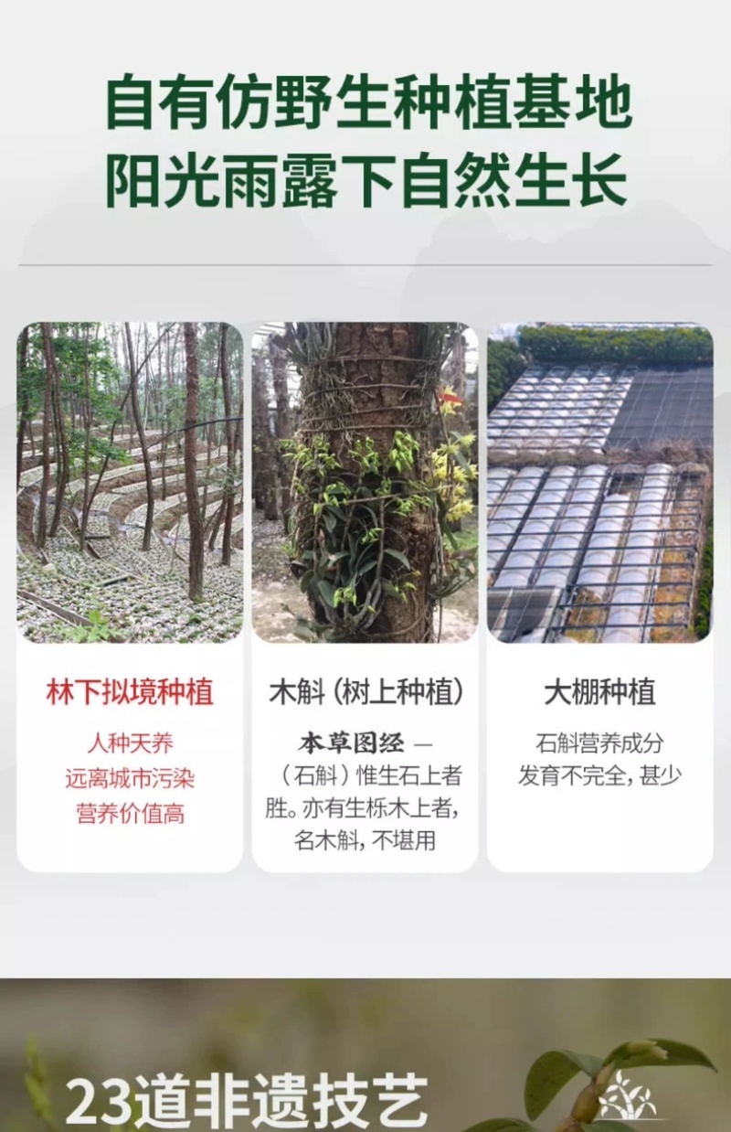 【包邮】正宗霍山产铁皮石斛枫斗官方正宗铁皮石斛颗粒