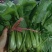 市场货食堂货点商货
