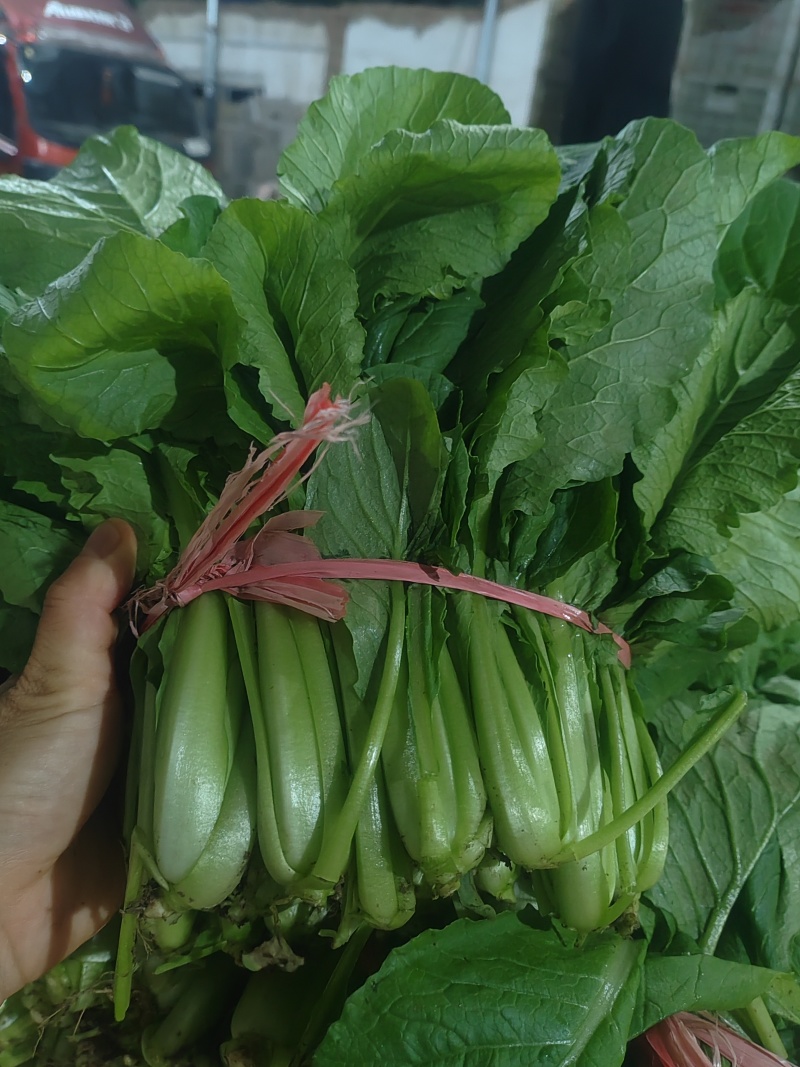 市场货食堂货点商货