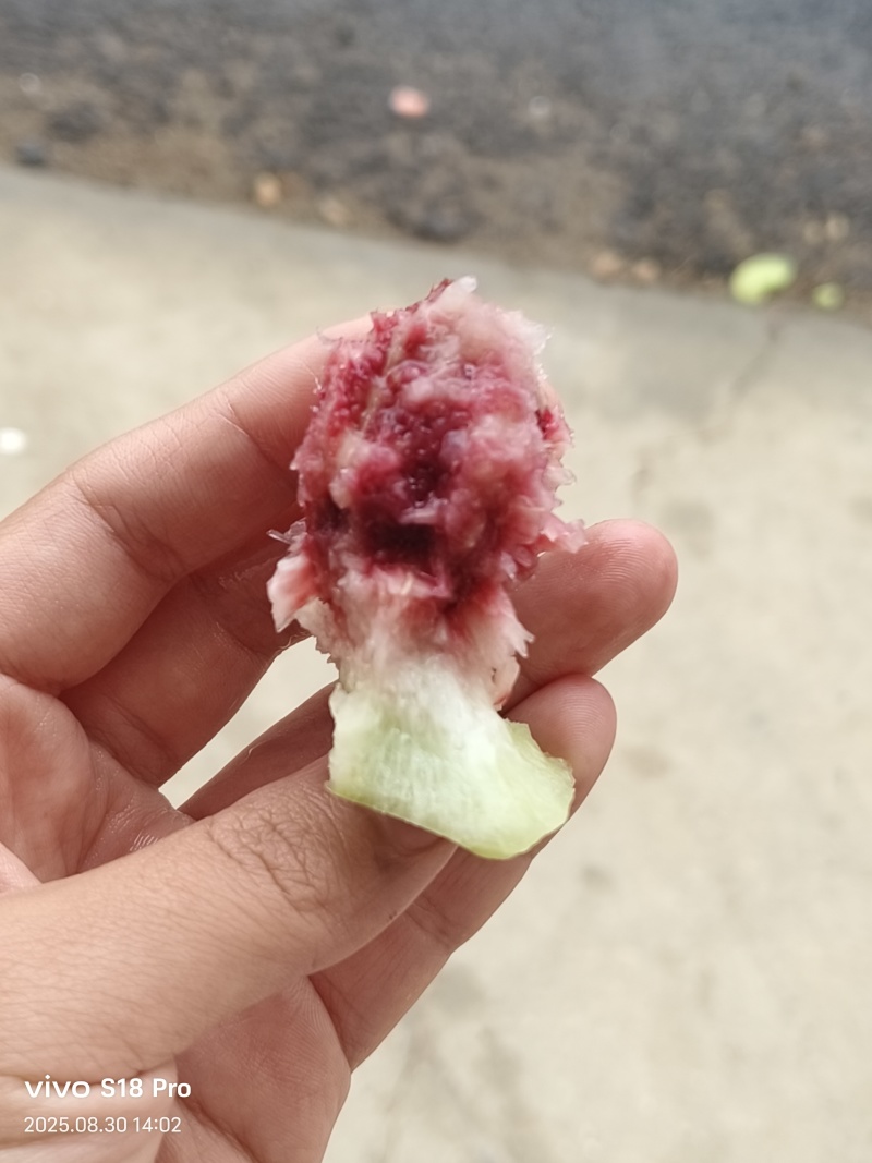脆甜青桃
