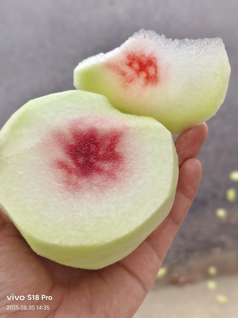 脆甜青桃