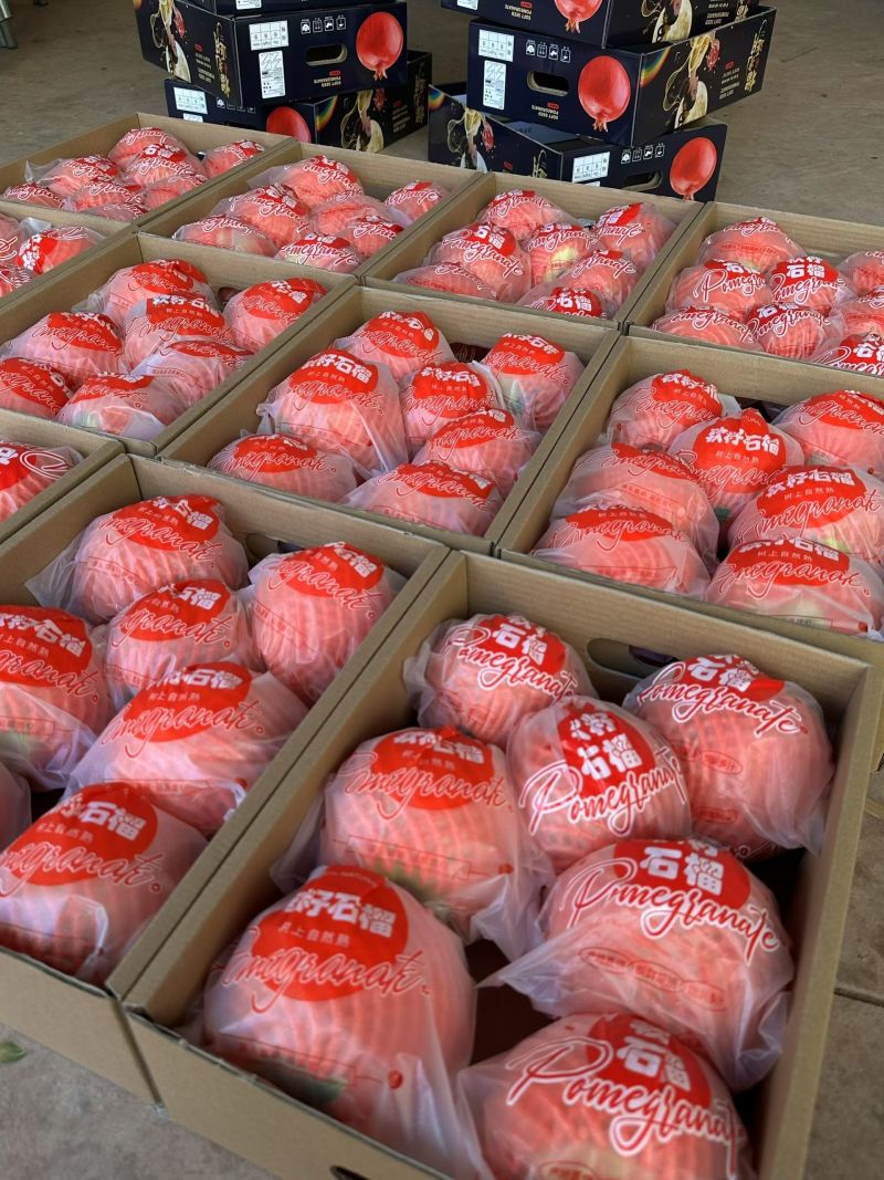 500克到600克左右。大果特大高端礼品盒。