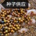 精品土茯苓苗，产量高，好种，易管理，支持技术服务，
