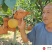 山东聊城秋月梨