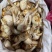 大中小果茨菇