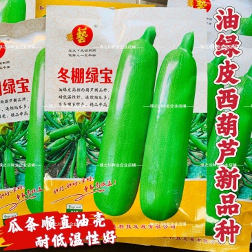 豫艺角瓜冬棚绿宝西葫芦种子耐寒油绿西葫芦瓜种子耐低温