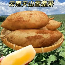 云南头茬天山雪莲果脆甜多汁（支持一件代发）
