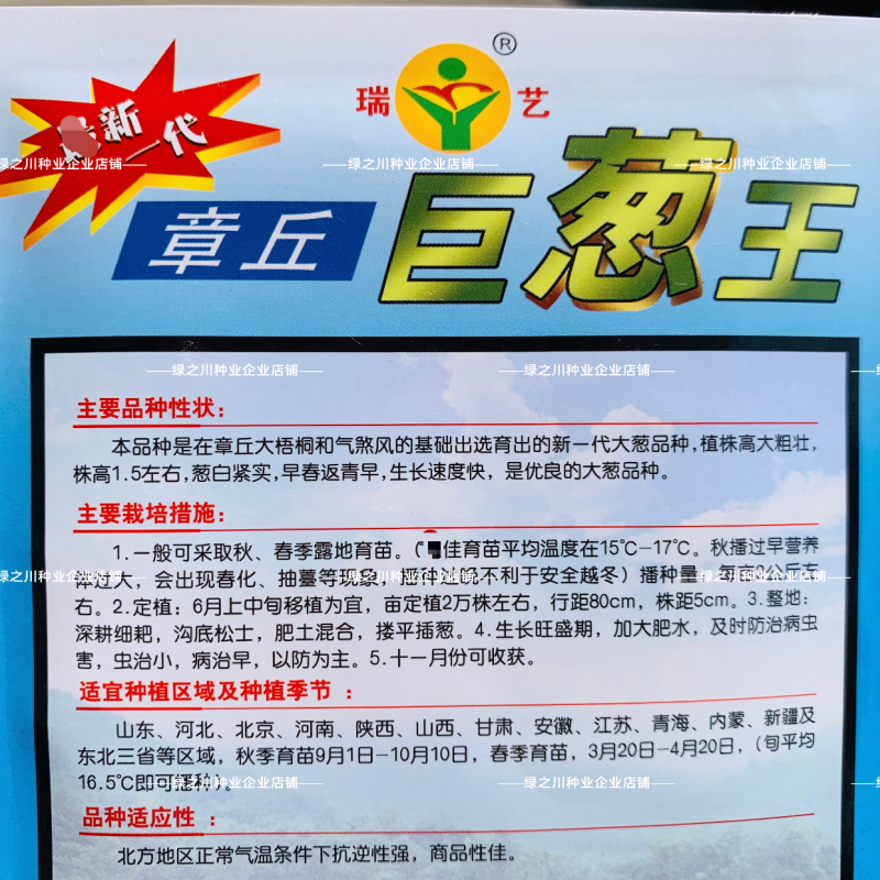 山东大葱种子章丘巨葱王种子高白粗壮抗倒耐寒优良大葱种籽