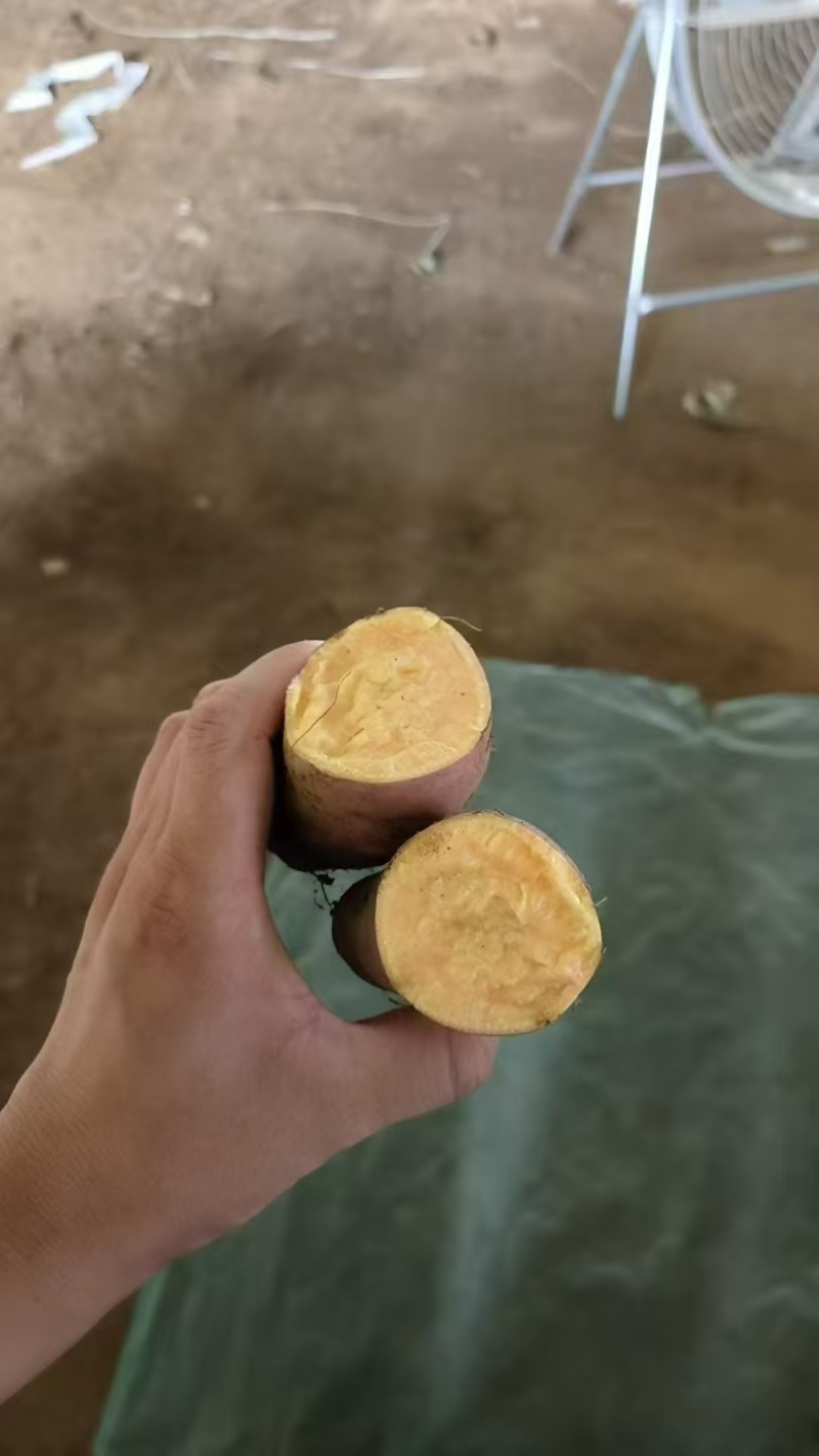 红薯板栗薯烟薯电商一件代发抖音～视频号24小时揽收发