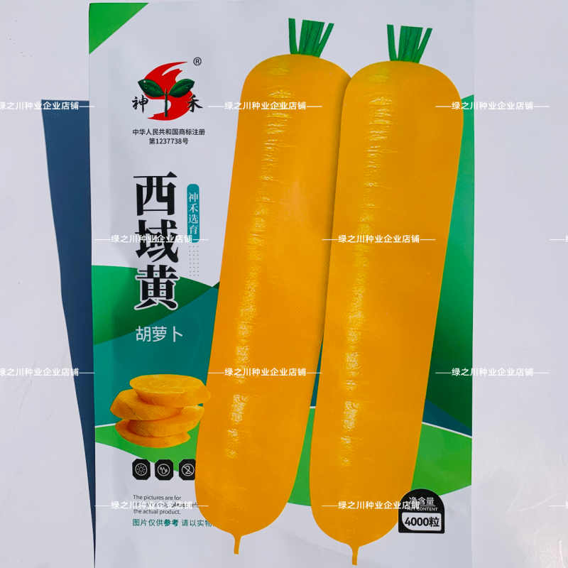 西域黄胡萝卜种子味甜脆四季蔬菜种子耐热黄色胡萝卜种籽