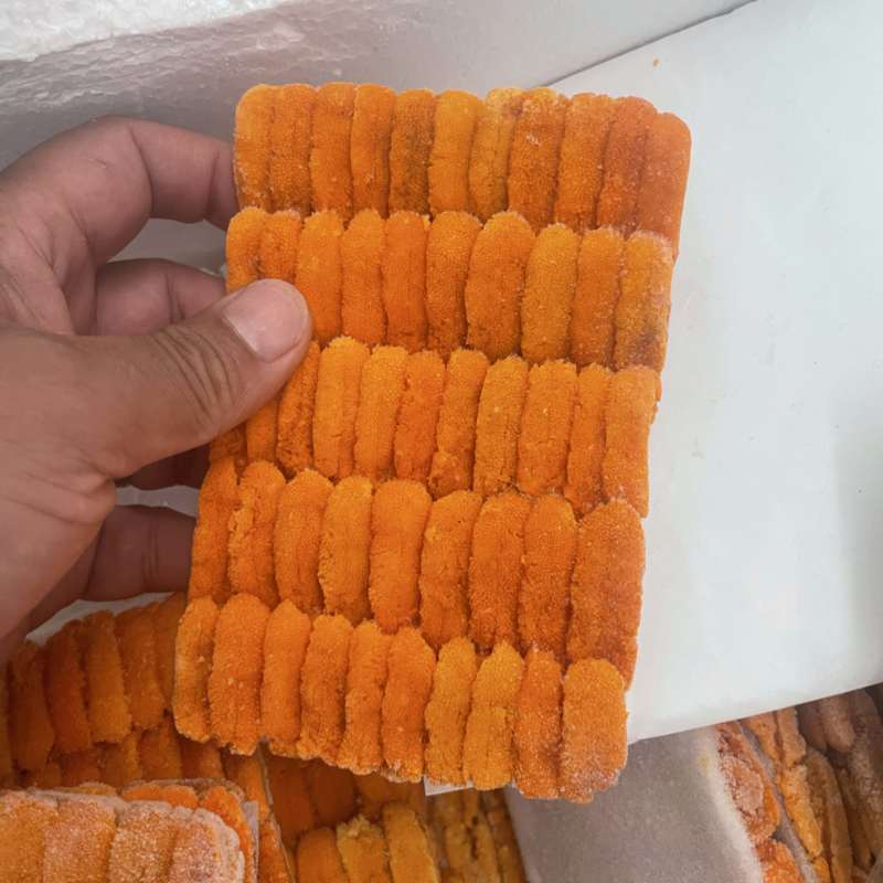 马胆紫胆漂烫海胆