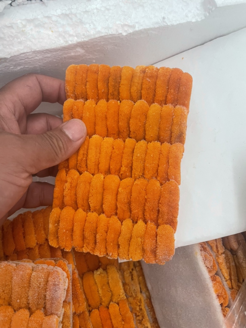 马胆紫胆漂烫海胆