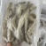 沙虫