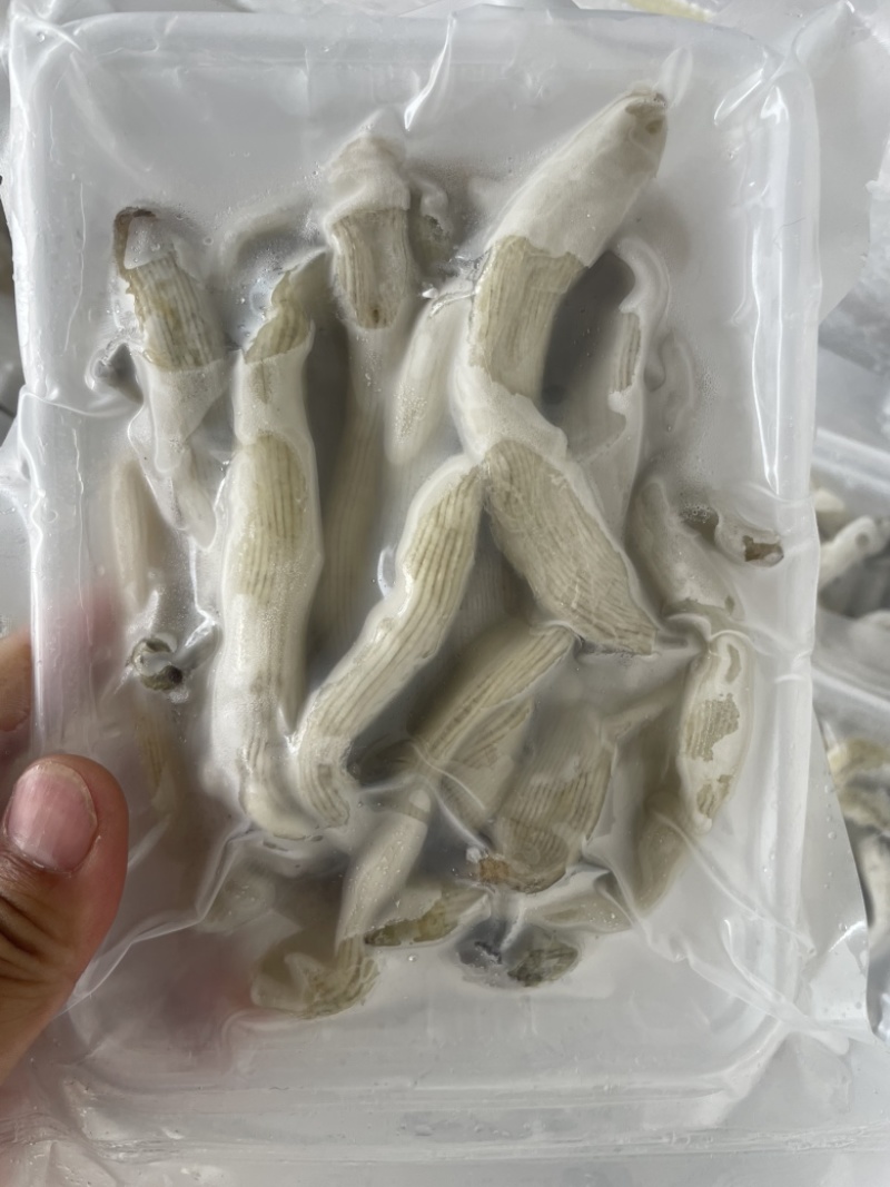 沙虫