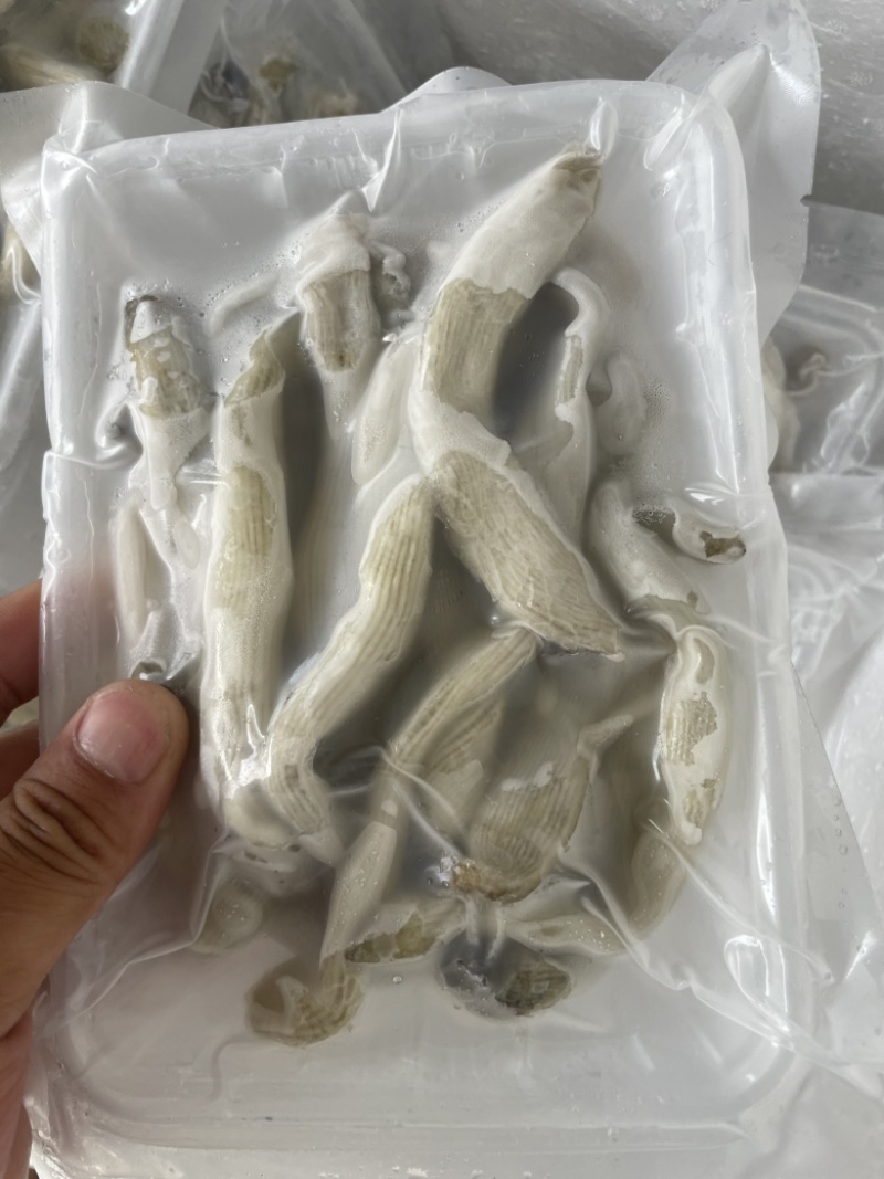 沙虫